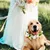 MCBOSON Hochzeitsblumenhalsband für Hunde