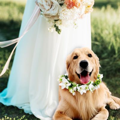 MCBOSON  Collier de fleurs de mariage pour chien