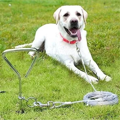 MCBOSON  Piquet avec chaîne de 41 cm pour chien
