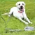 MCBOSON Piquet avec chaîne de 41 cm pour chien MCBOSON Piquet avec chaîne de 41 cm pour chien