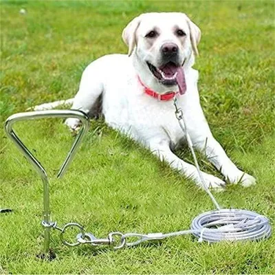 MCBOSON Piquet avec chaîne de 41 cm pour chien MCBOSON Piquet avec chaîne de 41 cm pour chien