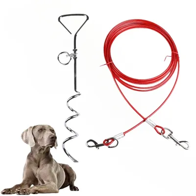 MCBOSON  Piquet avec chaîne de 41 cm pour chien