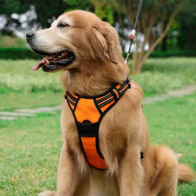 MCBOSON Harnais anti traction réfléchissant pour chien MCBOSON Harnais anti traction réfléchissant pour chien