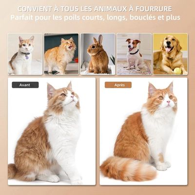 MCBOSON Cepillo de vapor 4 en 1 para gatos