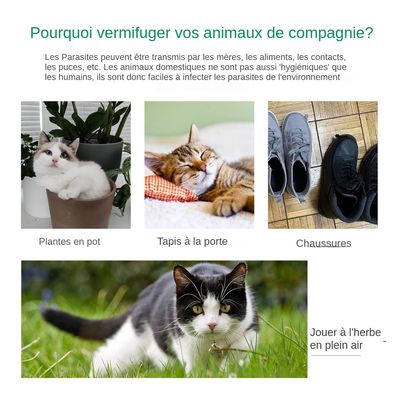MCBOSON  Collier anti parasites pour chiens et chats