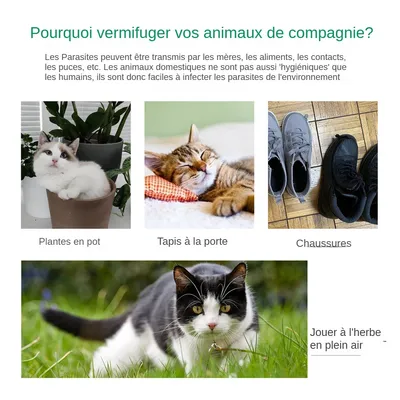 MCBOSON  Collier anti parasites pour chiens et chats