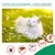 MCBOSON  Collier anti parasites pour chiens et chats