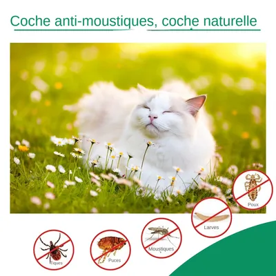 MCBOSON  Collier anti parasites pour chiens et chats