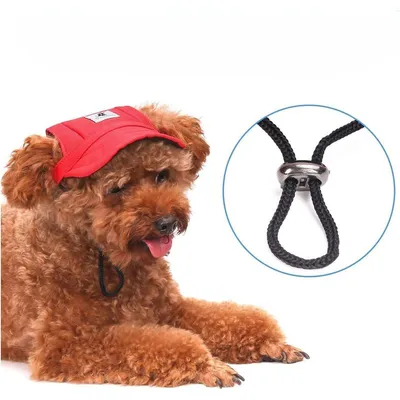 MCBOSON Hunde-Baseballkappe MCBOSON Hunde-Baseballkappe