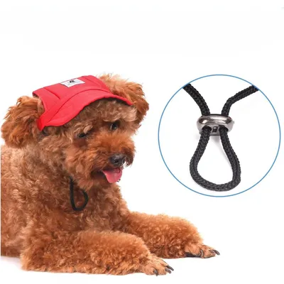 MCBOSON Casquette de baseball pour chien MCBOSON Casquette de baseball pour chien