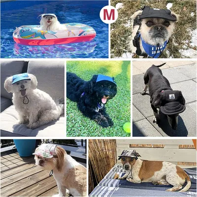 MCBOSON Casquette de baseball pour chien MCBOSON Casquette de baseball pour chien