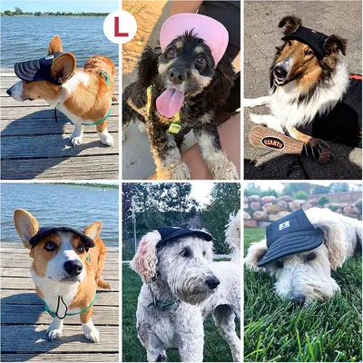 MCBOSON Casquette de baseball pour chien MCBOSON Casquette de baseball pour chien