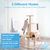 Jouet interactif pour chat avec laser
