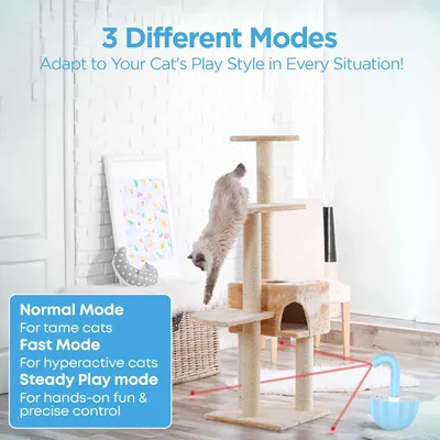 Jouet interactif pour chat avec laser