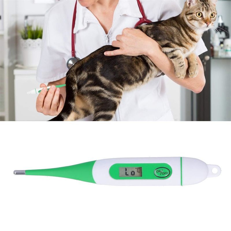 MCBOSON Digitales Haustierthermometer
