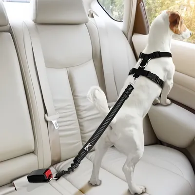 MCBOSON Ensemble harnais et laisse de sécurité pour voiture