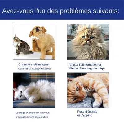 MCBOSON  Spray anti puces et tiques pour chats et chiens