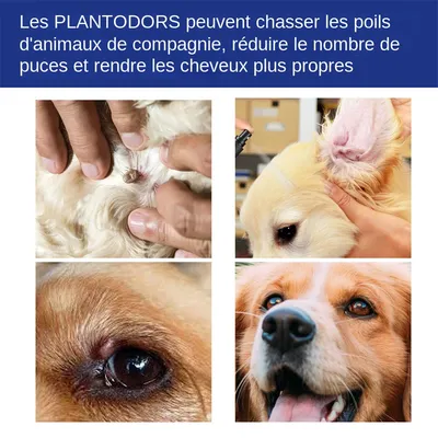 MCBOSON  Spray anti puces et tiques pour chats et chiens