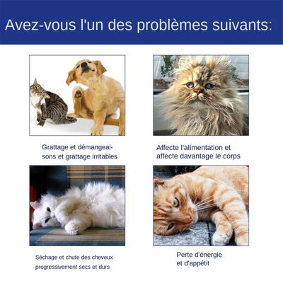 MCBOSON Floh- und Zeckenspray für Katzen und Hunde