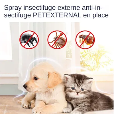 MCBOSON Floh- und Zeckenspray für Katzen und Hunde MCBOSON Floh- und Zeckenspray für Katzen und Hunde