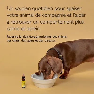 RESCUE Pipette Apaisante 20ml pour Animaux Végétalien Sans Alcool