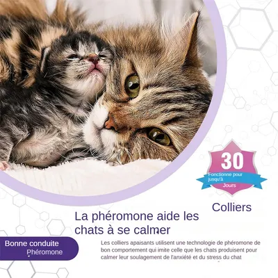 MCBOSON  3 Pack Collier Calmant Efficace