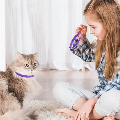 MCBOSON  Collier apaisant pour animaux de compagnie 4X