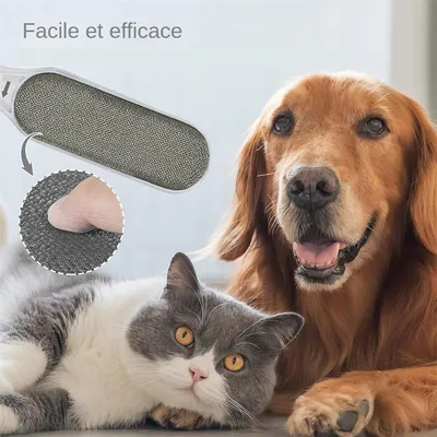 MCBOSON Brosse dépilatoire domestique