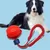 MCBOSON Jouet en corde pour chien - Anti-morsure