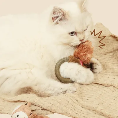 CoolPetGear Jouet combo cerceau pour chat