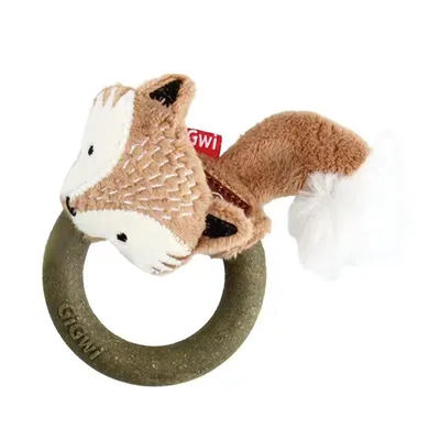 CoolPetGear Jouet combo cerceau pour chat