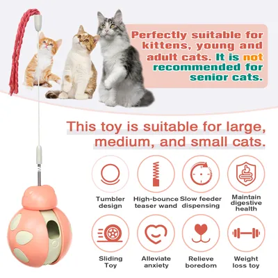 Jouet interactif pour chat CoolPetGear