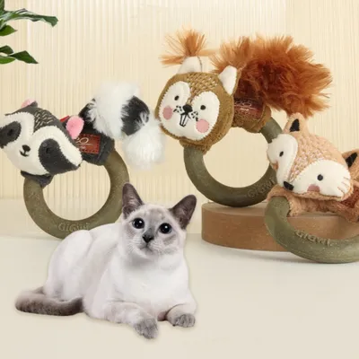 CoolPetGear Jouet combo cerceau pour chat