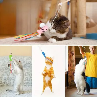 MCBOSON  Canne à pêche Teaser pour chat 5PCS