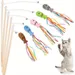 MCBOSON  Canne à pêche Teaser pour chat 5PCS