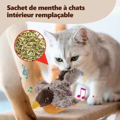 Oiseau Volant pour Chat Jouet, Jouet Chat Interactif