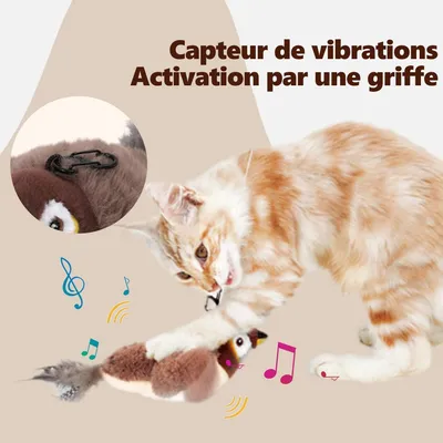 Oiseau Volant pour Chat Jouet, Jouet Chat Interactif