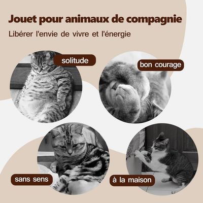 CoolPetGear Oiseau Volant pour Chat Jouet