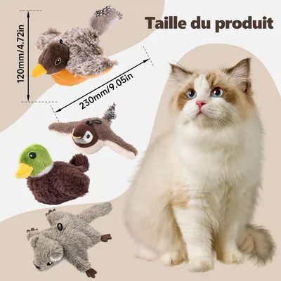 CoolPetGear Oiseau Volant pour Chat Jouet