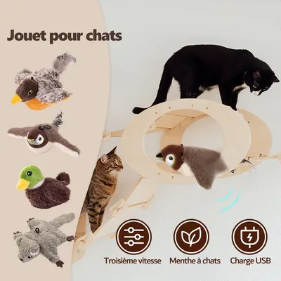 CoolPetGear Oiseau Volant pour Chat Jouet