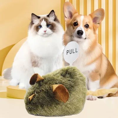 Pet Planet Jouet souris sonore électrique pour chat