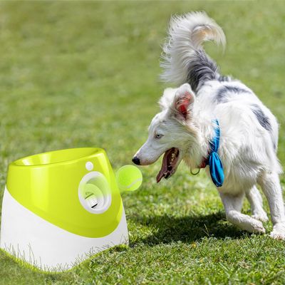 IntiMeg  Lanceur automatique de balles pour chiens