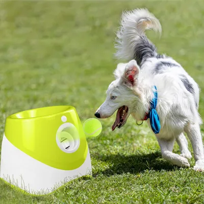 IntiMeg  Lanceur automatique de balles pour chiens