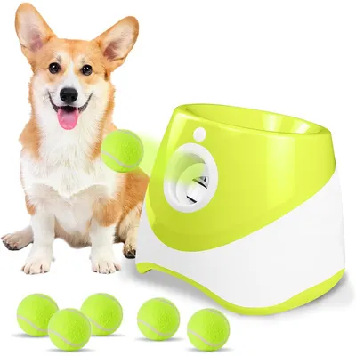 IntiMeg  Lanceur automatique de balles pour chiens