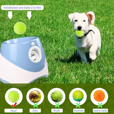 IntiMeg  Lanceur automatique de balles pour chiens