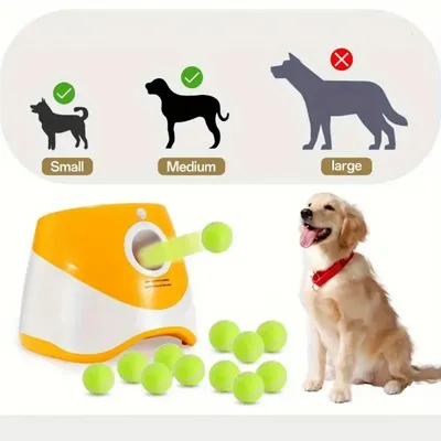 IntiMeg  Lanceur automatique de balles pour chiens