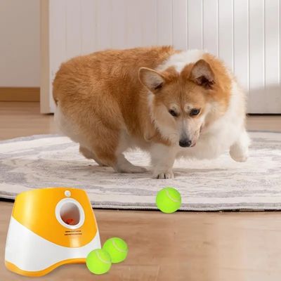 IntiMeg  Lanceur automatique de balles pour chiens