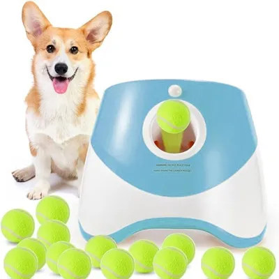 IntiMeg  Lanceur automatique de balles pour chiens