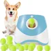 IntiMeg  Lanceur automatique de balles pour chiens