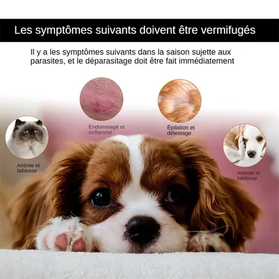 MCBOSON Gouttes antiparasitaires